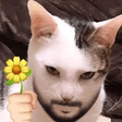 avatar of CzechGuy15589