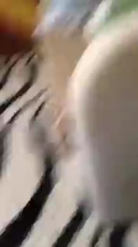 crazy russian teen showing her naked ass 