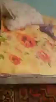 boyfriend records girlfriend pussy 